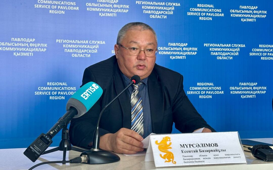 Павлодар облысында егін жинау науқаны қазан айының бірінші жартысында аяқталады деп жоспарлануда