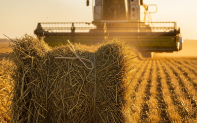 О безопасности в период кормозаготовки напомнили павлодарские огнеборцы