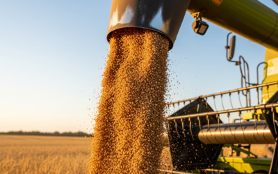 В Павлодарской области убрали треть урожая
