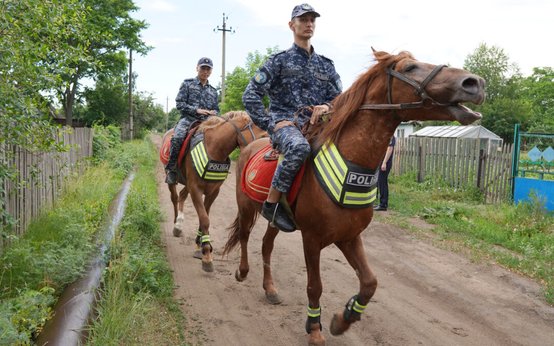 Ход конем: как лошадки помогают павлодарским полицейским охранять общественный порядок